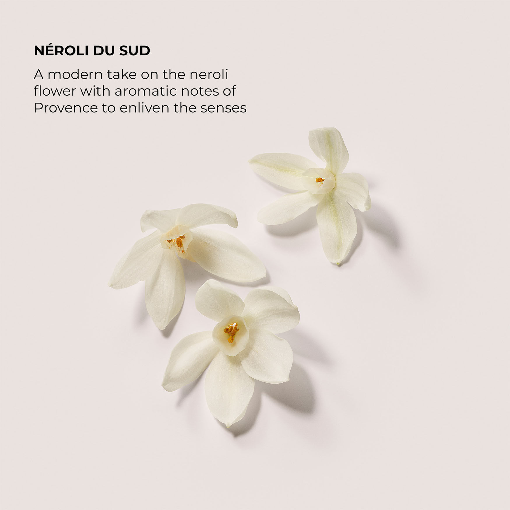 Laura Mercier Néroli Du Sud Eau De Parfum | Space NK