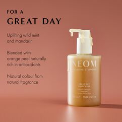 Hand Wash Great Day, , large, image3