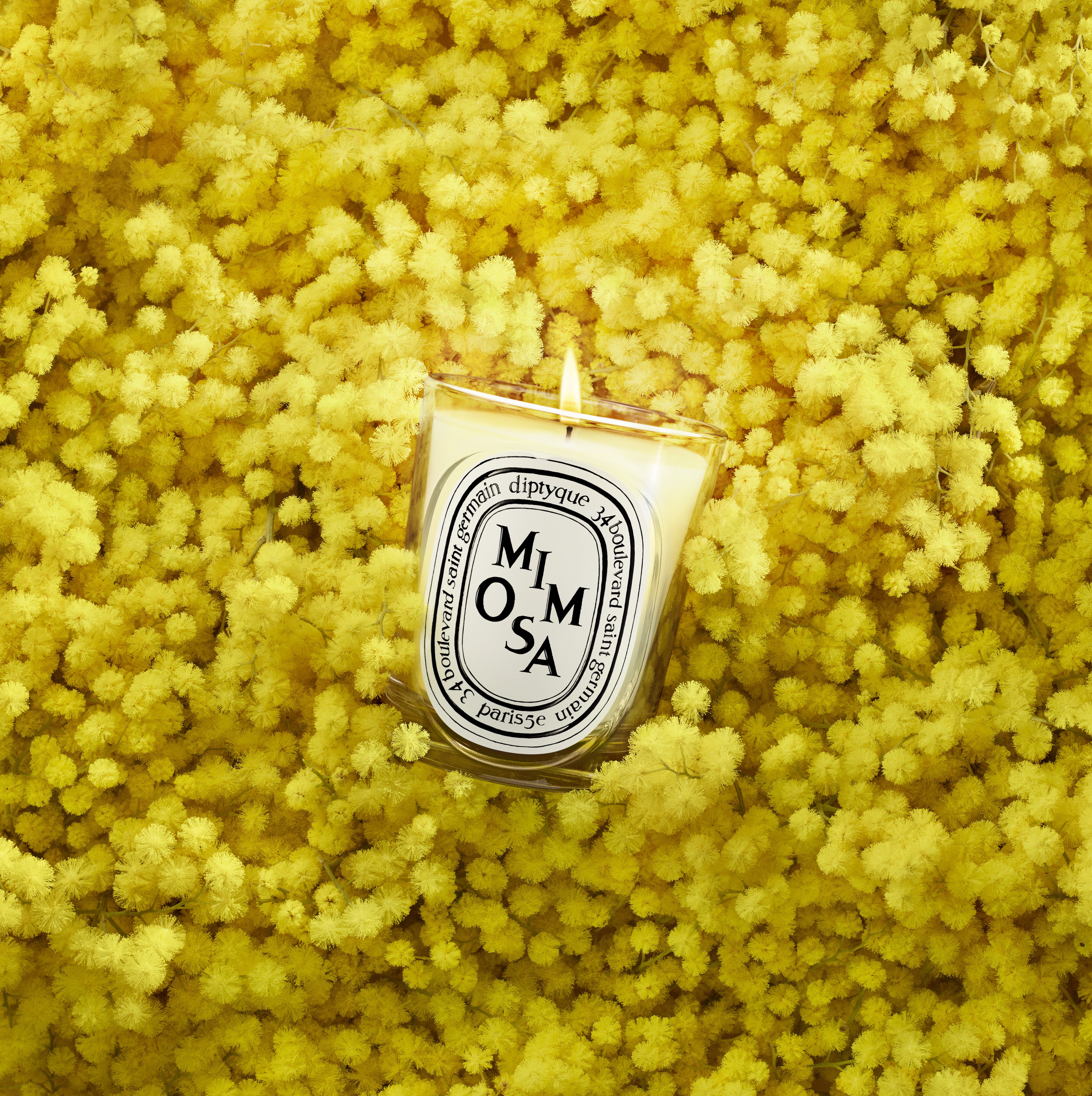 Diptyque Mimosa Classic Candle 190g | Space NK