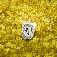 Mimosa Classic Candle 190g, , large, image3