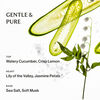 Lily of the Valley Hand Sanitiser, , large, image3