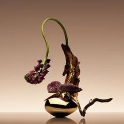 Rose D'Arabie Eau de Parfum, , large, image5