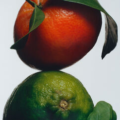 Lime Basil & Mandarin Classic Candle, , large, image2