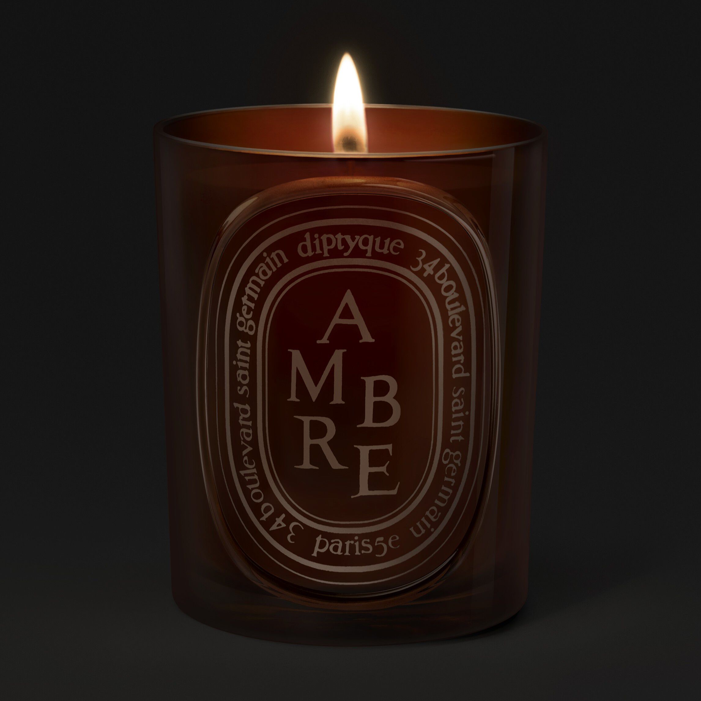 Diptyque Ambre Medium Candle 300g | Space NK