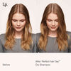 PhD Dry Shampoo, , large, image3
