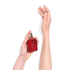 Law Of Attraction - More Sex, , large, image2