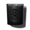 Feu de Bois Coloured Scented Candle 300g, , large, image1