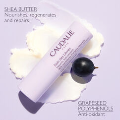 Lip Conditioner, , large, image7