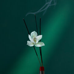 Eau The Audacity, , large, image3