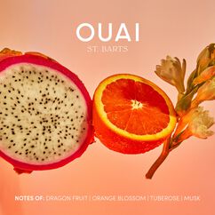 Wanna-Get-A-OUAI Travel Kit, , large, image5