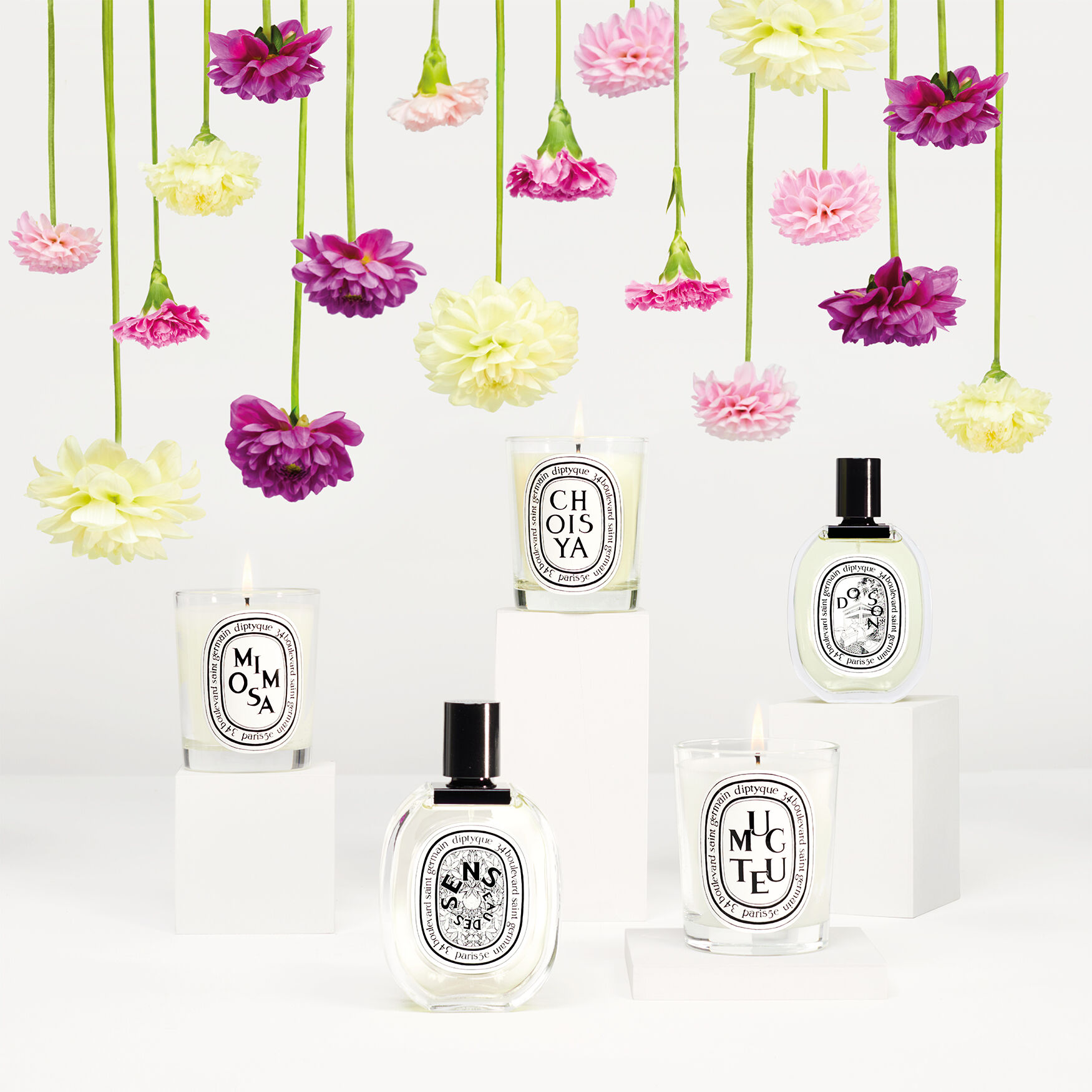 Diptyque Mimosa Scented Candle | Space NK