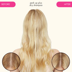 Perk Up Plus Extended Clean Dry Shampoo, , large, image8