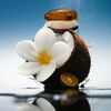 Island Swim Hair and Body Mist, , large, image4