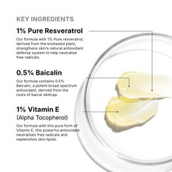 Resveratrol B E, , large, image7