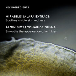 Superoxide Dismutase 3 Enzyme Mist, , large, image7