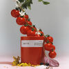 Laide Tomate Scented Candle, , large, image6