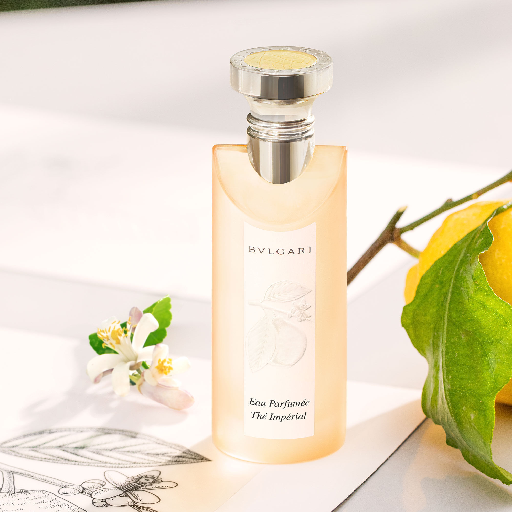 BULGARI Thé Impérial Eau De Toilette | Space NK