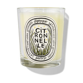 Citronnelle Scented Candle