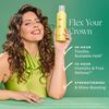 Instant Style To-Go, , large, image2