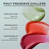 Pout Preserve Peptide Lip Treatment, CAPRI COCO LIME, large, image11