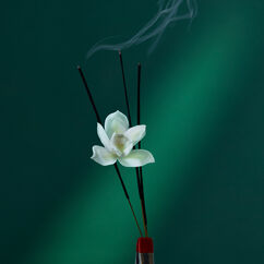 Eau The Audacity, , large, image4