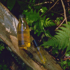 Bregenzerwald Body Oil, , large, image2