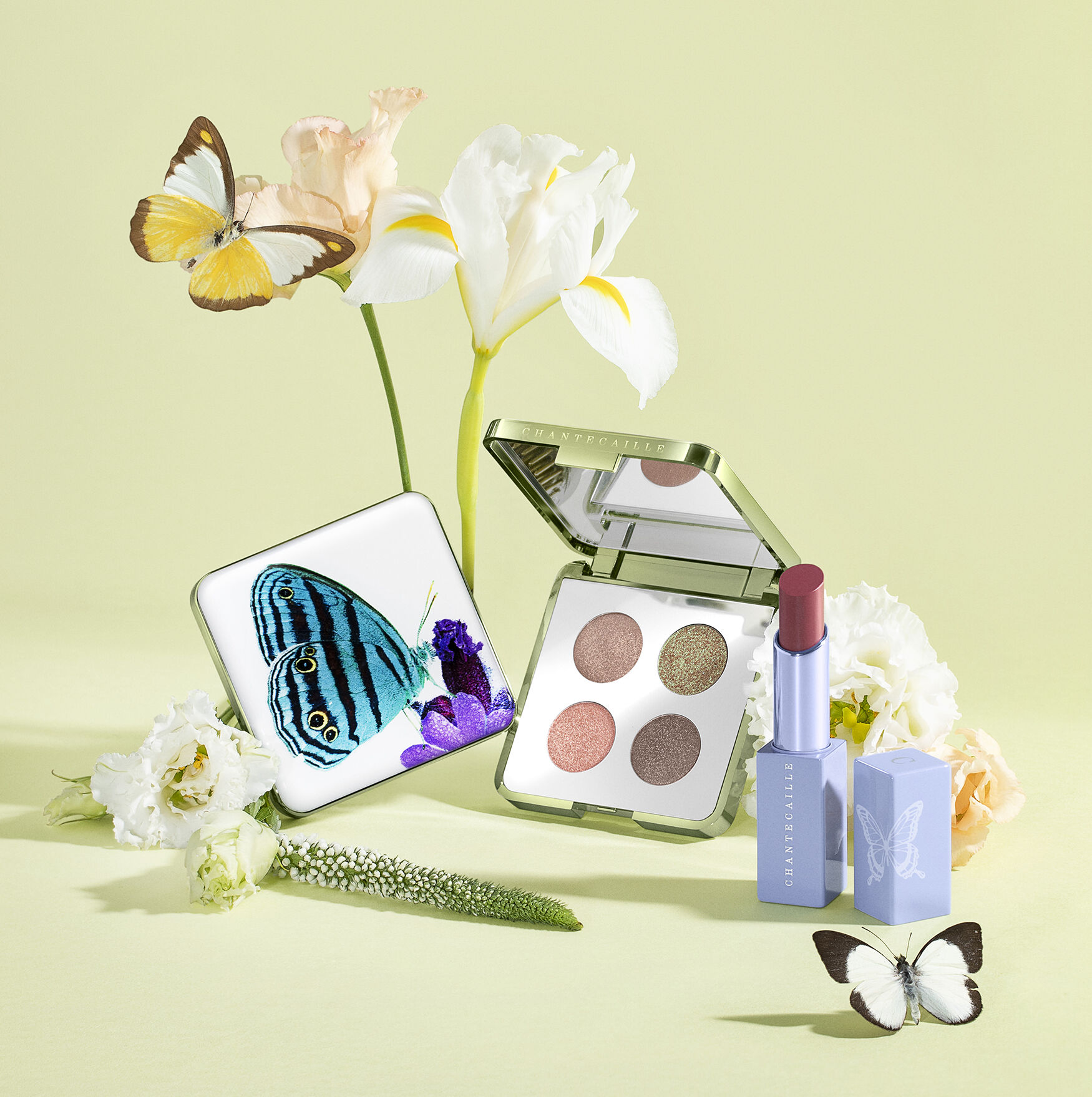 Chantecaille Butterfly Eye Quartet Space Nk Buy chantecaille eye shadows and get the best deals at the lowest prices on ebay! butterfly eye quartet by chantecaille