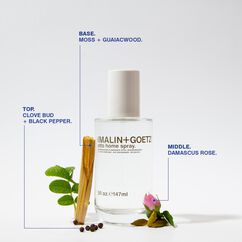 Otto Home Spray, , large, image4