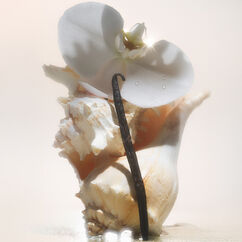 Salt Water Vanilla Shimmering Body Oil, , large, image8