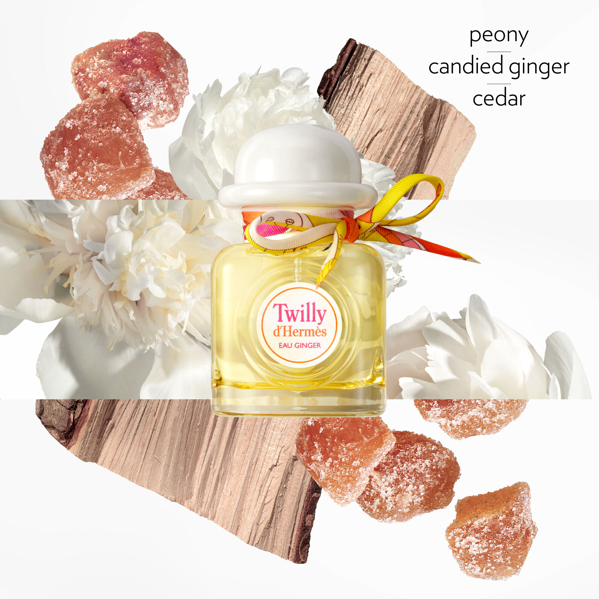 Hermès Twilly Eau Ginger Eau de Parfum | Space NK