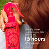 The Protector Color Protect + Strengthen Treatment, , large, image3