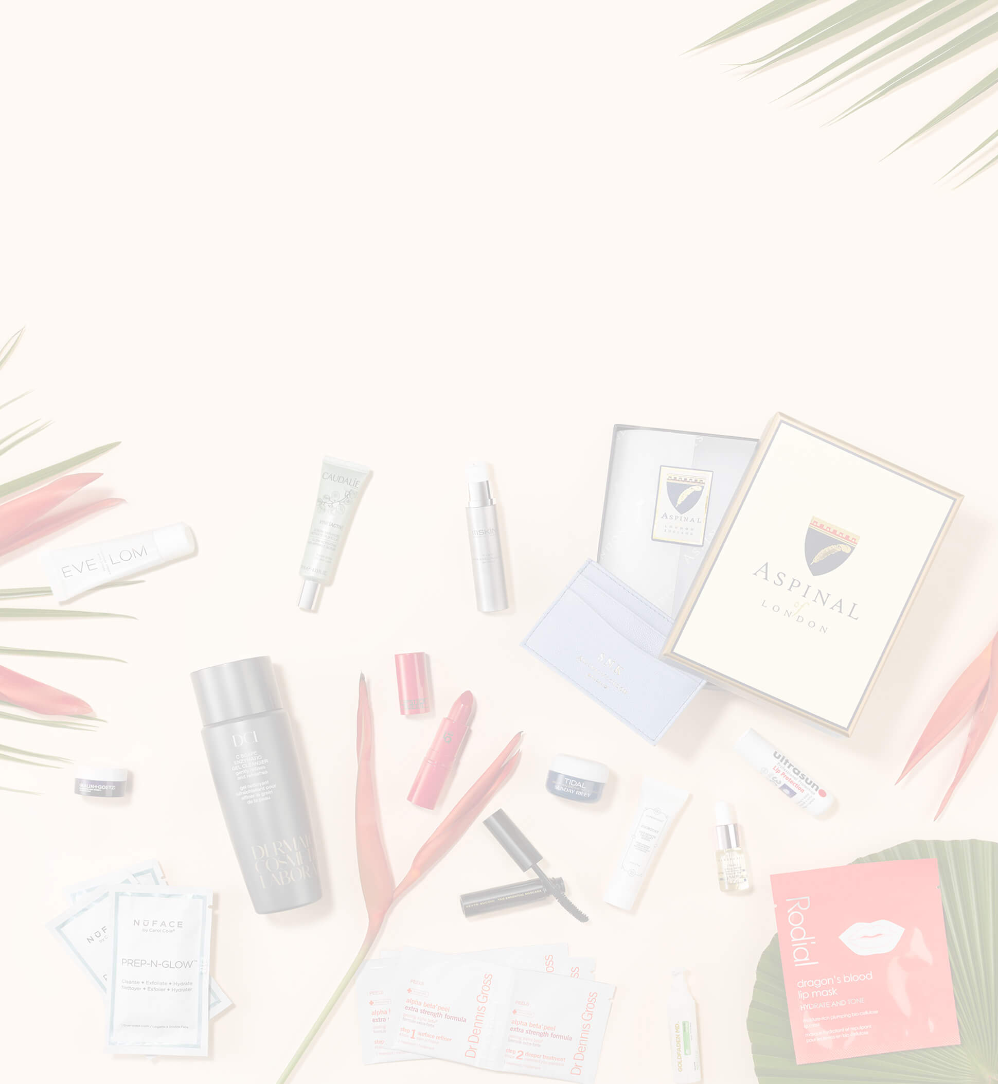 The Essential Gift