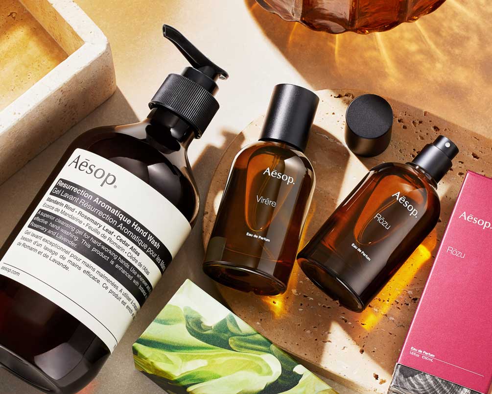 Discover The World Of Aesop