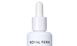 Royal Fern