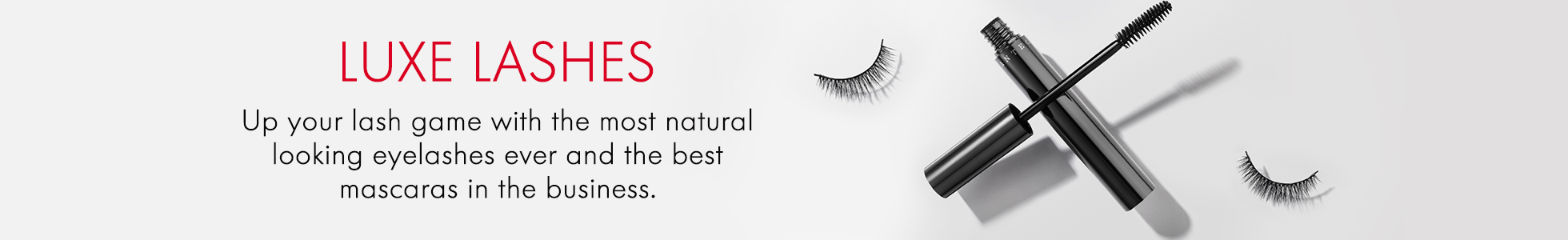 Promotional Banner