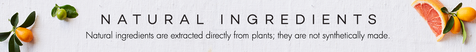 Promotional Banner