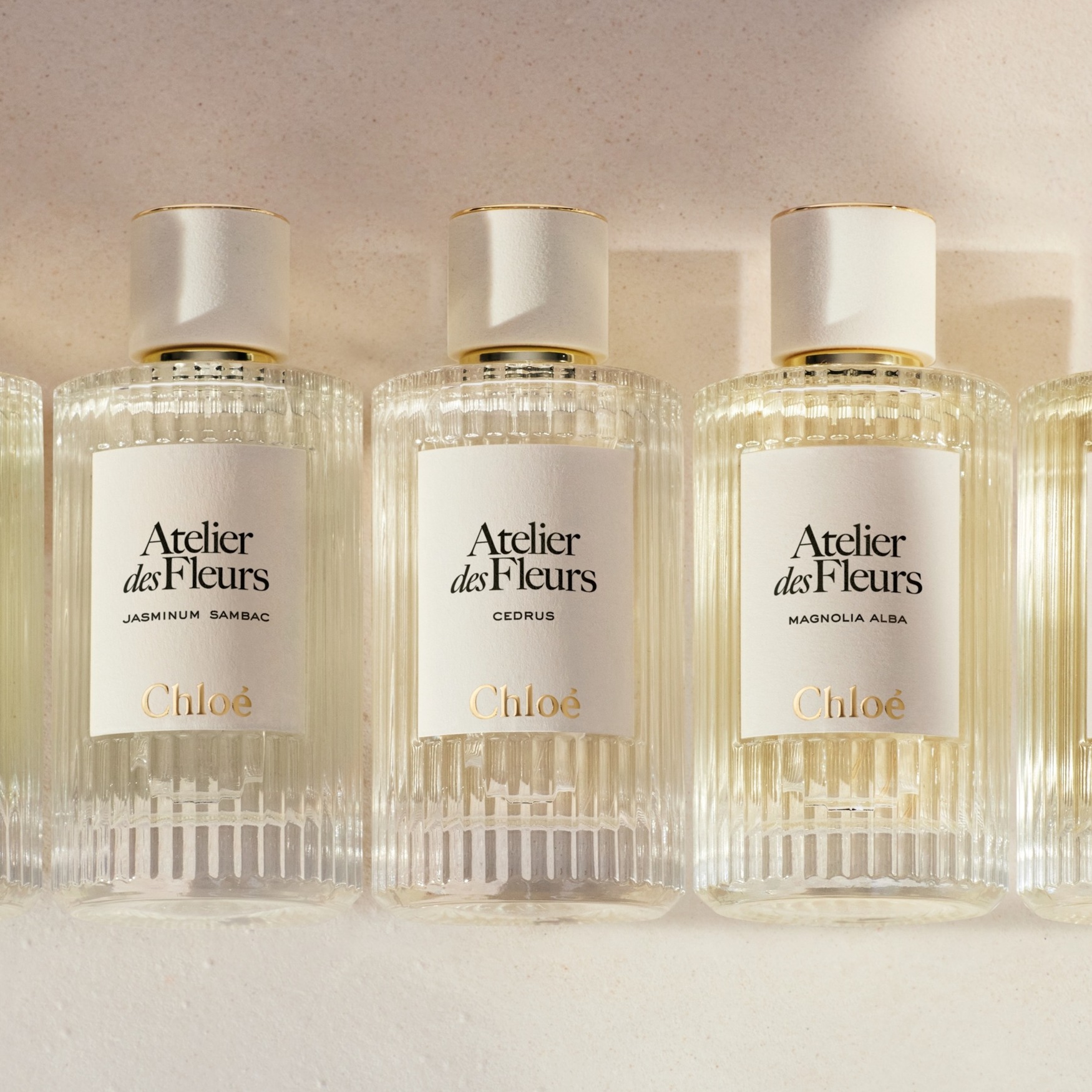 Chloé ATELIER DES FLEURS CÉDRUS 50ml Chloé Atelier des Fleurs Cedrus Eau de Parfum 50ml | Liberty