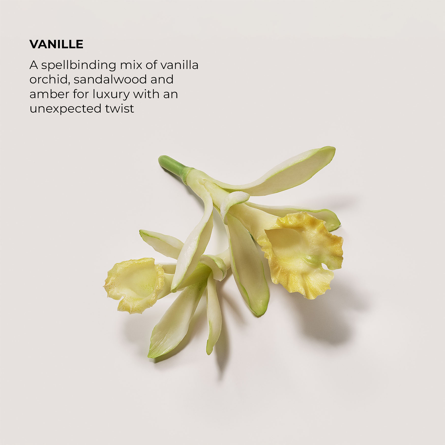 Laura Mercier Vanille Eau De Parfum | Space NK
