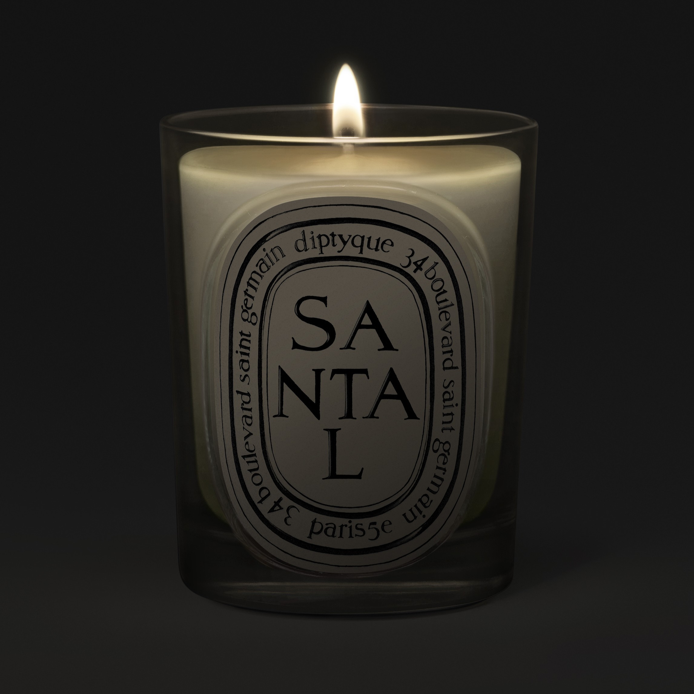 Diptyque Santal Classic Candle 190g | Space NK