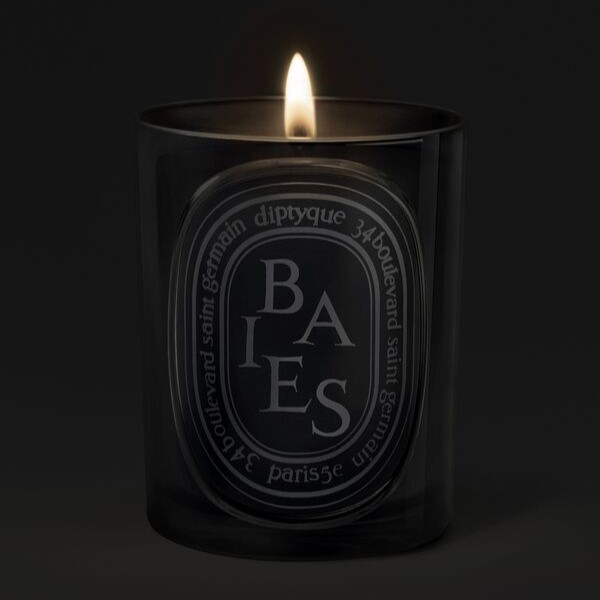 Diptyque Baies Medium Candle 300g | Space NK