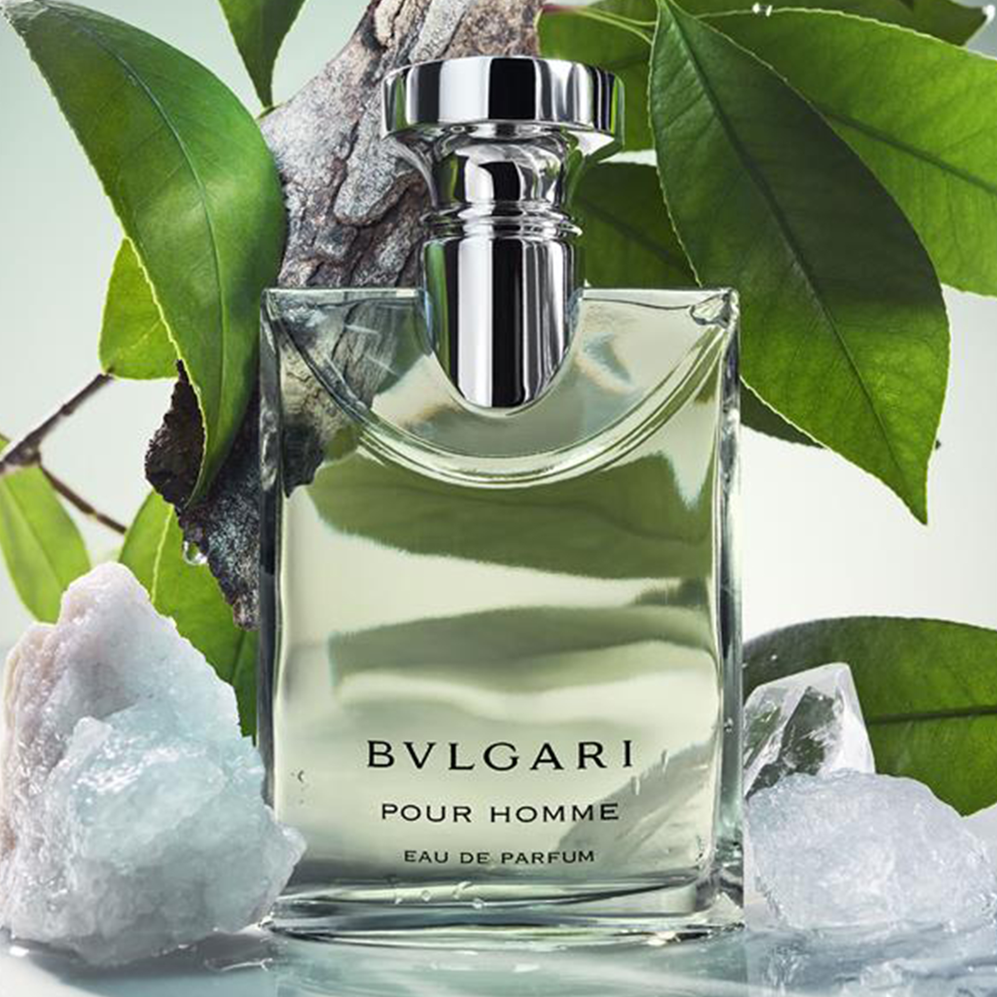 香水(男性用) BVLGARI PULLOM Eau de Parfum 100ml BULGARI Pour Homme Eau de Parfum | Space NK