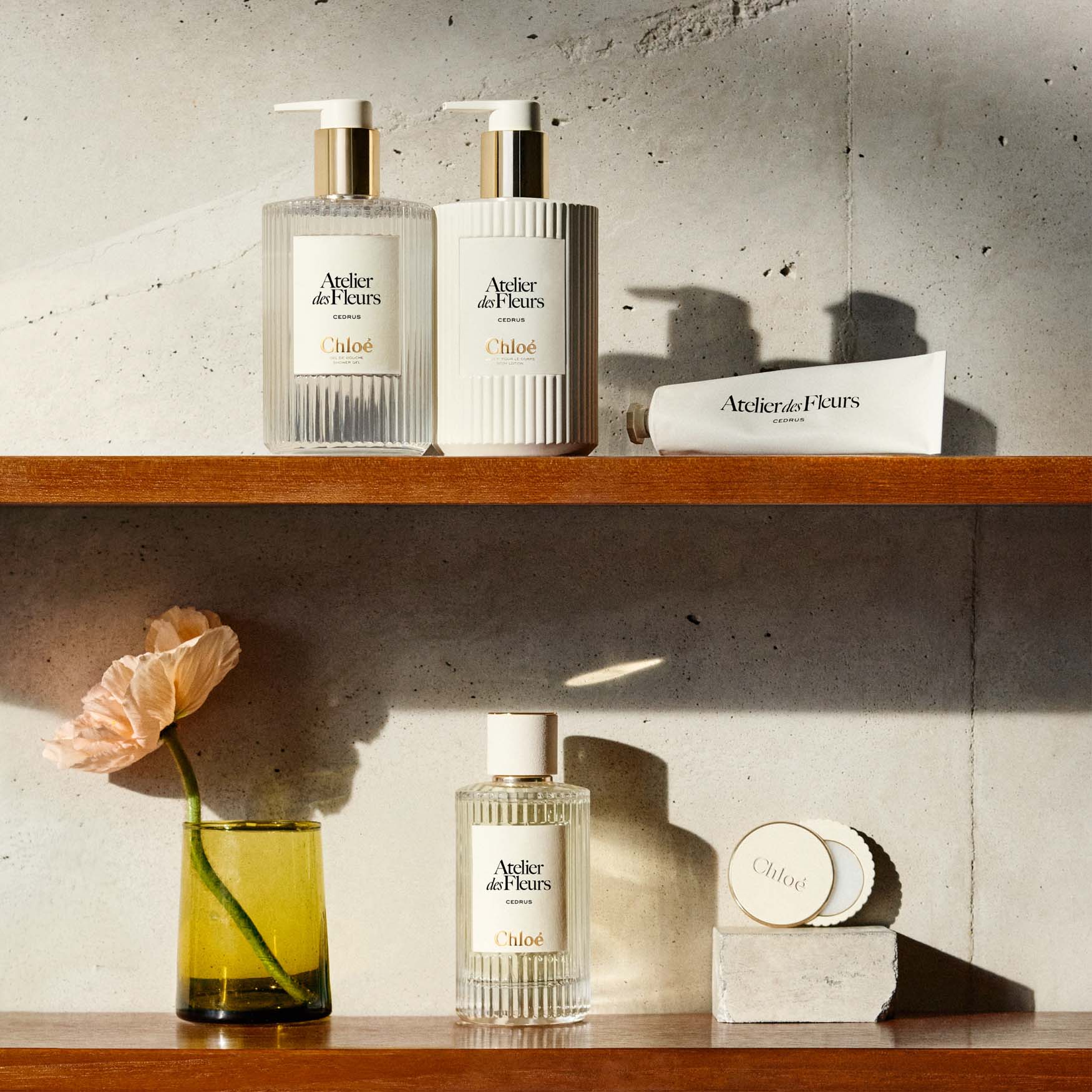Chloé Atelier des Fleurs Cedrus Perfumed Body Lotion | Space NK