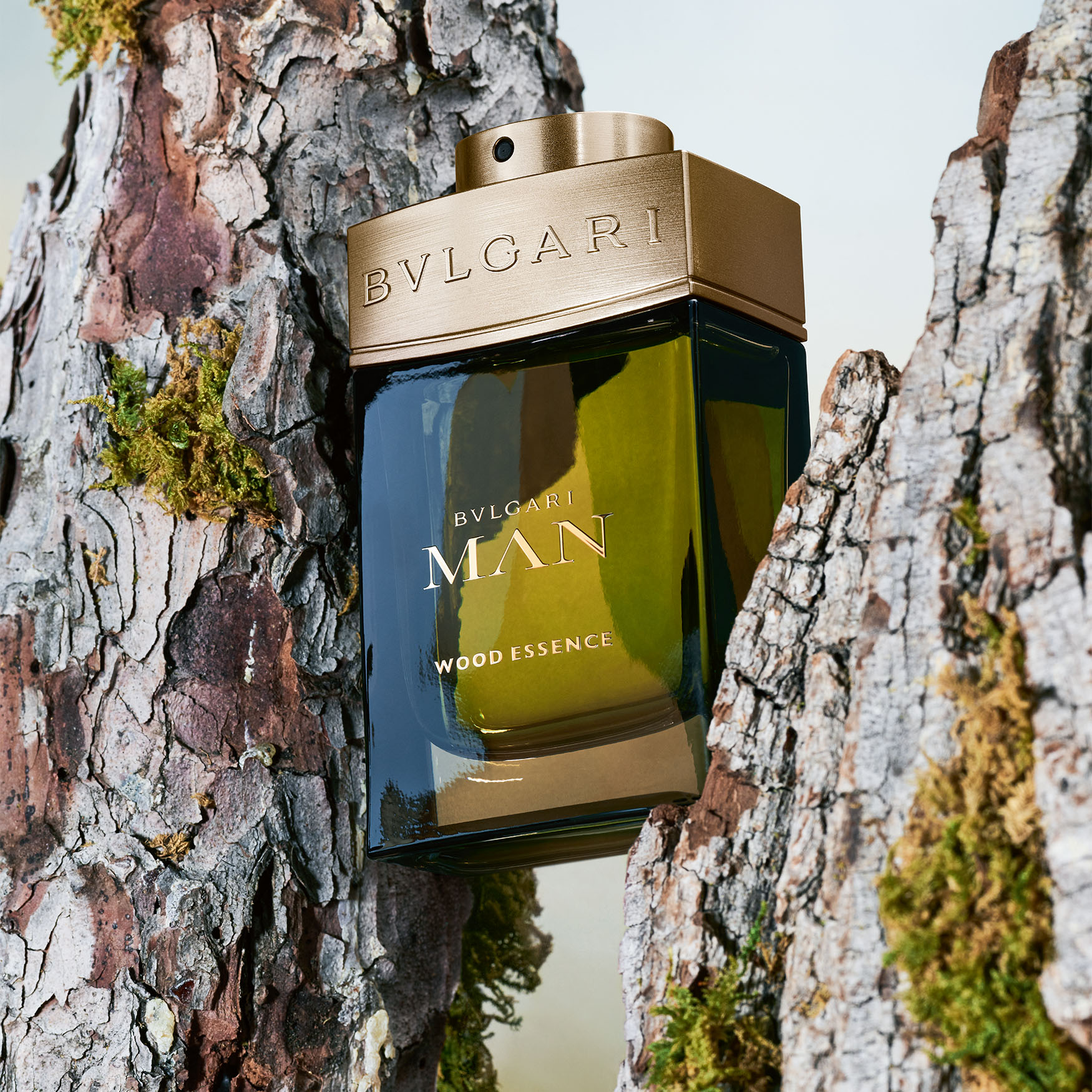 Amazon.com : Bvlgari Bvlgari Man Wood Essence 3.4 Oz Eau De