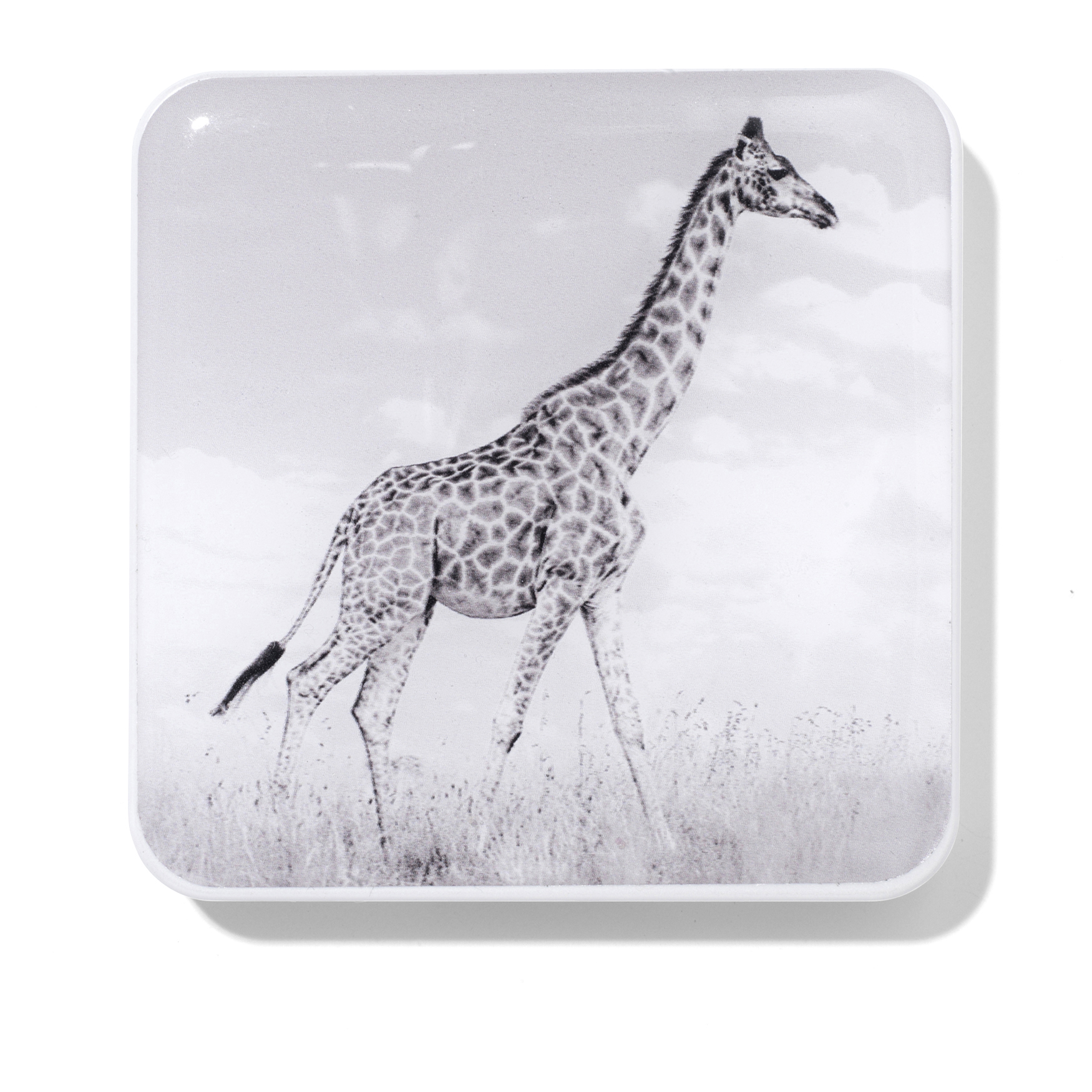 Chantecaille Giraffe Eye Quartet | Space NK