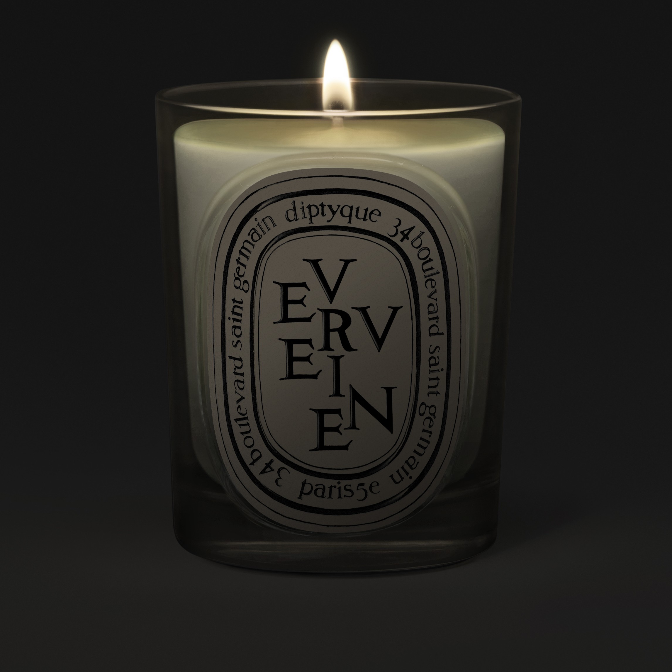 Diptyque Verveine Classic Candle 190g | Space NK