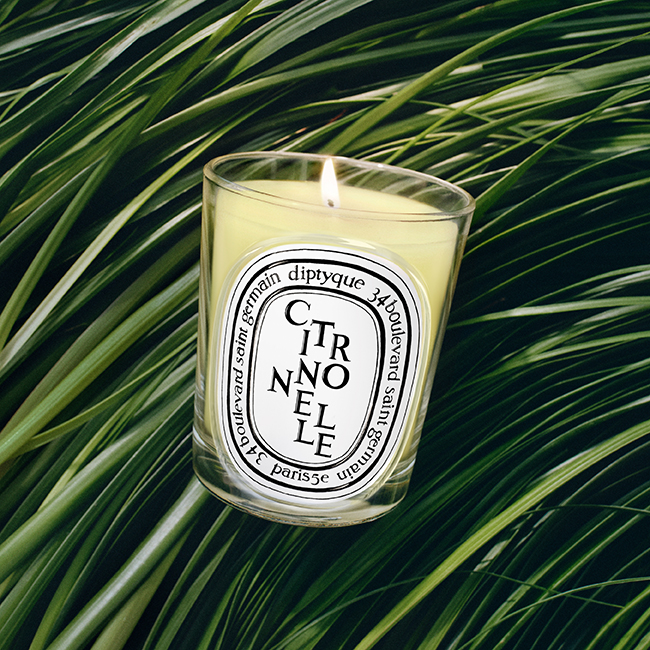 Diptyque Citronnelle Classic Candle 190g | Space NK