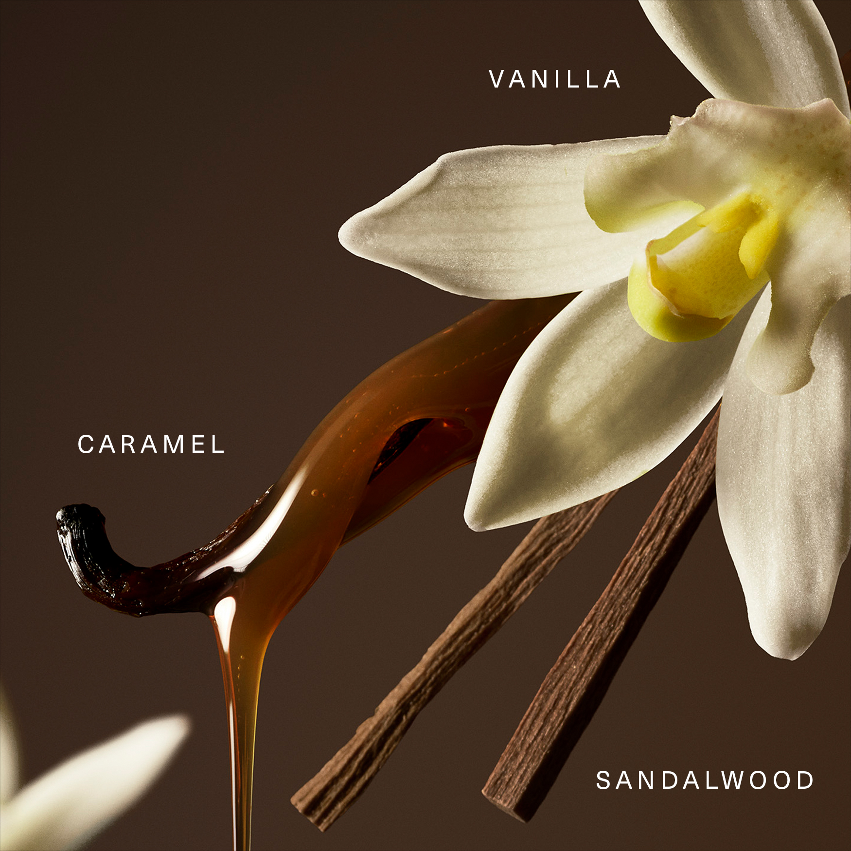 Rare Beauty Rare Eau de Parfum | Space NK