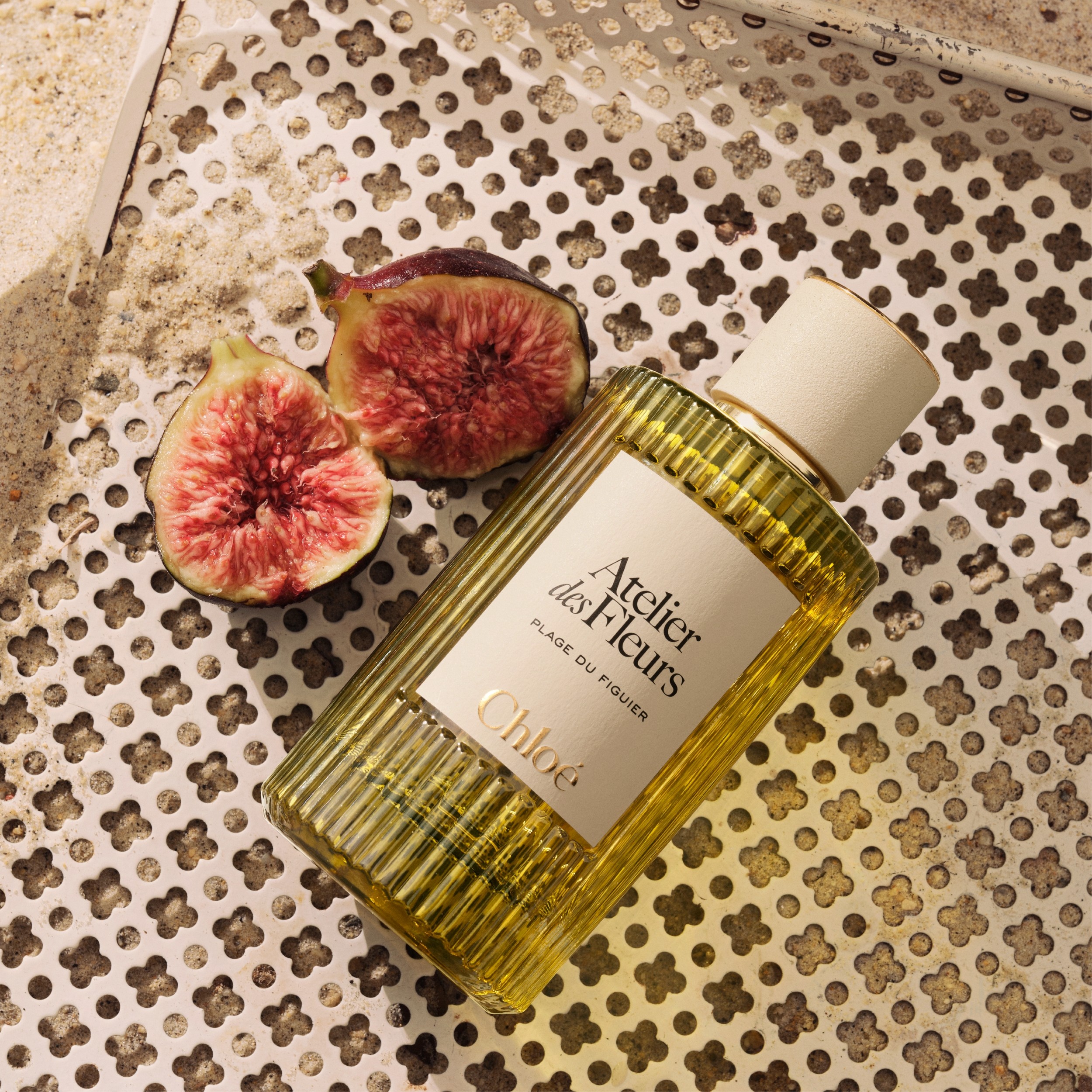 Chloé Atelier des Fleurs Plage du Figuier Eau de Parfum | Space NK