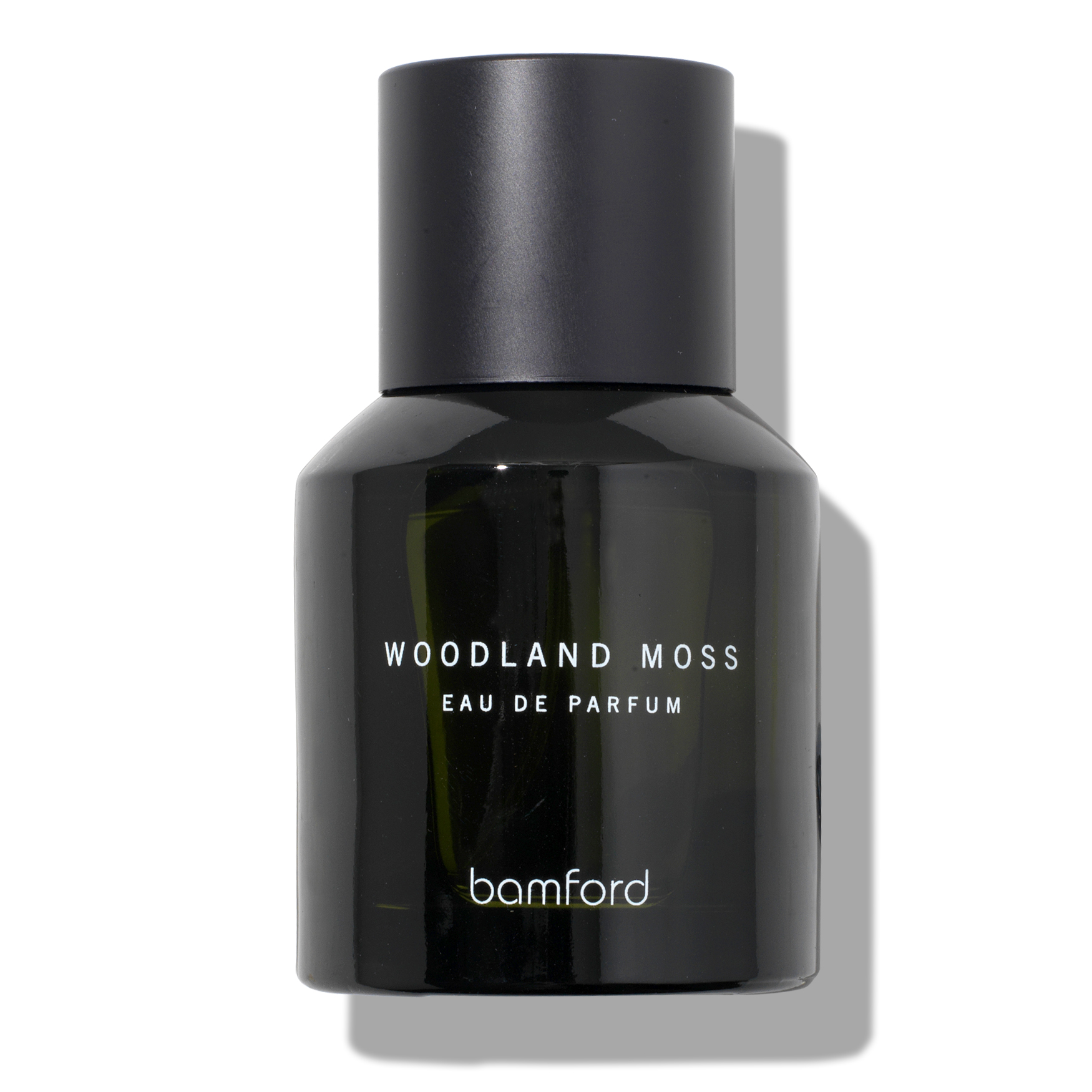 Woodland Moss