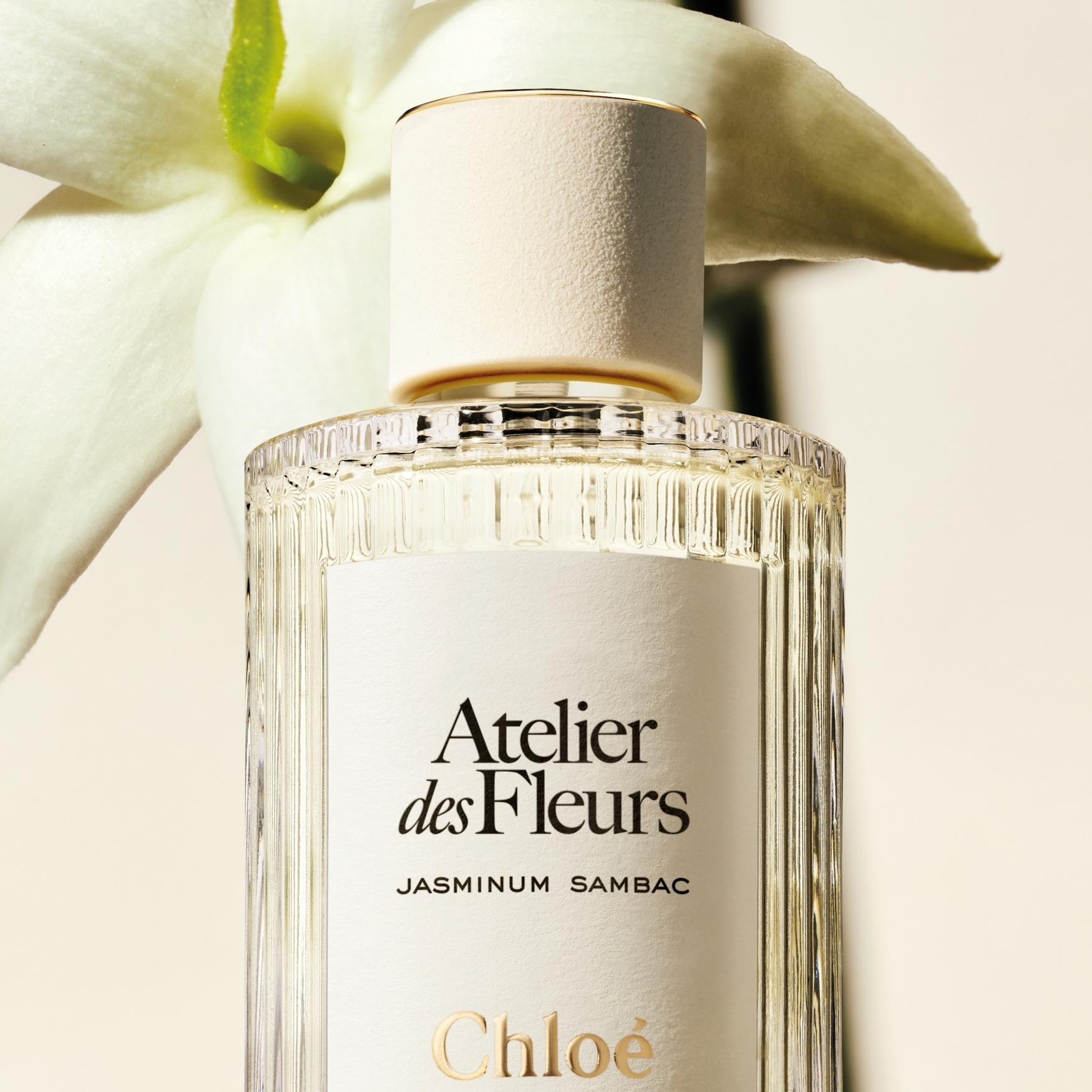 Chloé Atelier des Fleurs Jasminum Sambac Atelier des Fleurs Jasminum Sambac Eau de Parfum - Chloé